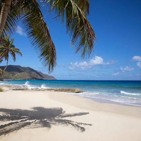 Carambola Beach Resort St. Croix, Us Virgin Islands Fountain Ngoại thất bức ảnh
